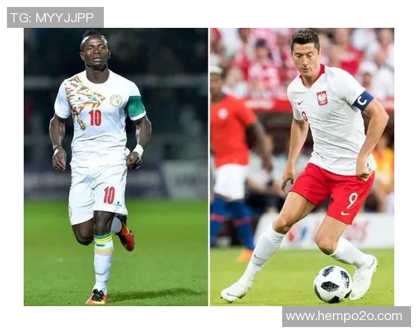 荷兰与塞内加尔精彩对决回放全程回顾与赛后分析 荷兰与塞内加尔精彩对决回放全程回顾与赛后分析